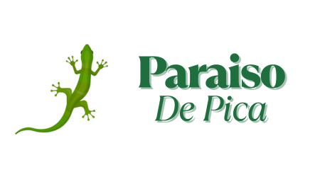 Paraiso de Pica
